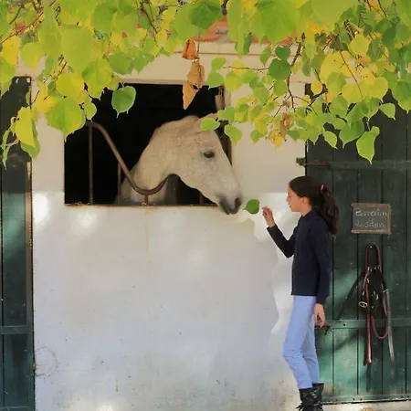 Avo Quitas, Country House *